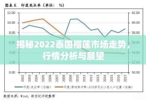 揭秘2022泰国榴莲市场走势,行情分析与展望