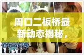 周口二板桥最新动态揭秘，今日消息一网打尽