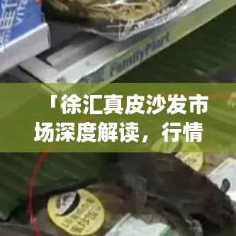 「徐汇真皮沙发市场深度解读，行情、趋势与前景分析」