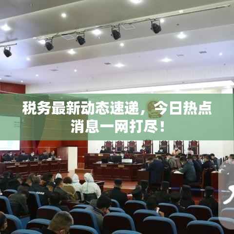 税务最新动态速递，今日热点消息一网打尽！