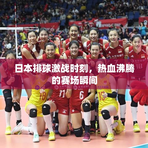 日本排球激战时刻,热血沸腾的赛场瞬间