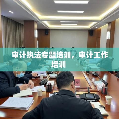 审计执法专题培训，审计工作培训 