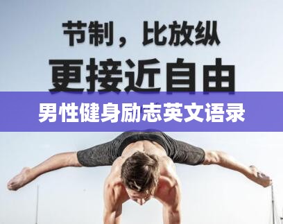 纲挈目张