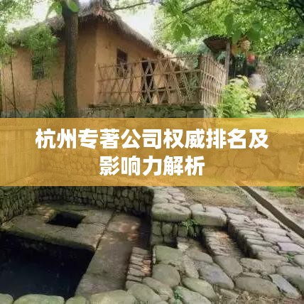 杭州专著公司权威排名及影响力解析