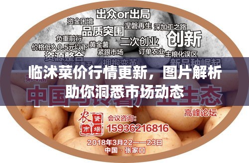 临沭菜价行情更新，图片解析助你洞悉市场动态