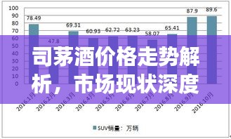 司茅酒价格走势解析,市场现状深度剖析与未来趋势预测