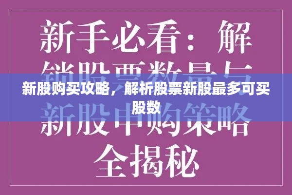 新股购买攻略,解析股票新股最多可买股数