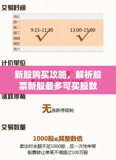 新股购买攻略,解析股票新股最多可买股数