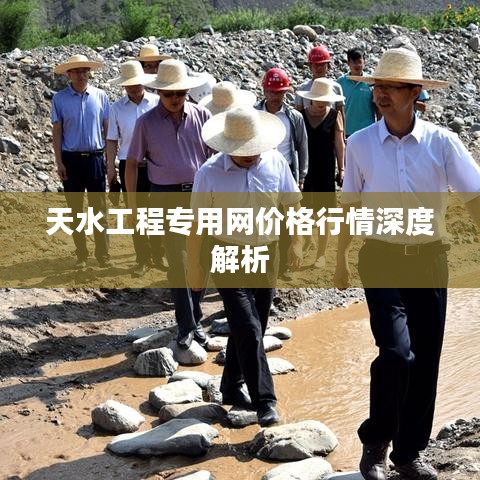 天水工程专用网价格行情深度解析