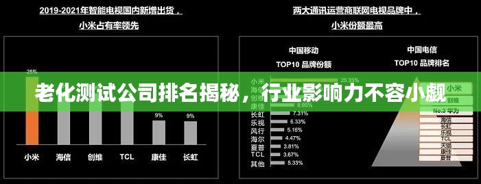 老化测试公司排名揭秘，行业影响力不容小觑