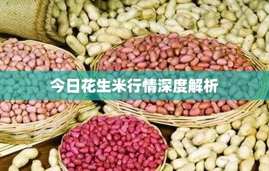 今日花生米行情深度解析