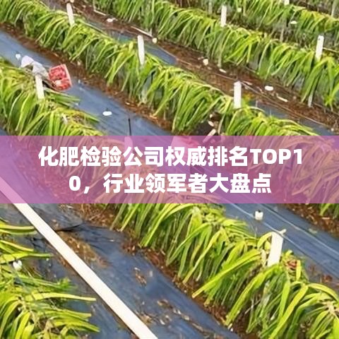 化肥检验公司权威排名TOP10，行业领军者大盘点