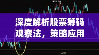 深度解析股票筹码观察法，策略应用与实战指南