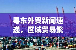 飞墙走壁