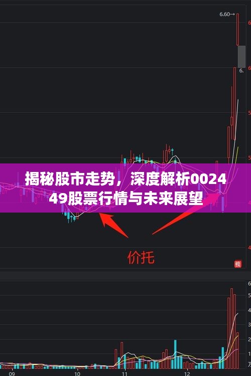 揭秘股市走势,深度解析002449股票行情与未来展望