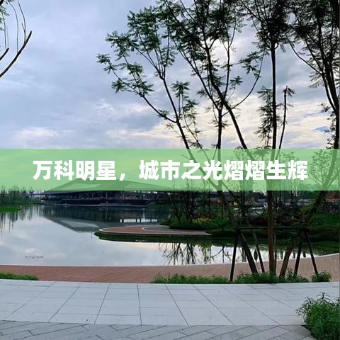 万科明星，城市之光熠熠生辉