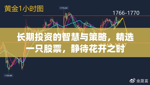 长期投资的智慧与策略,精选一只股票,静待花开之时
