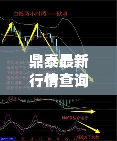 鼎泰最新行情查询与消息全面解读