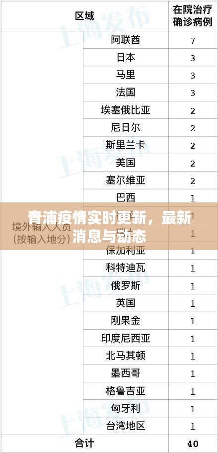 青浦疫情实时更新，最新消息与动态