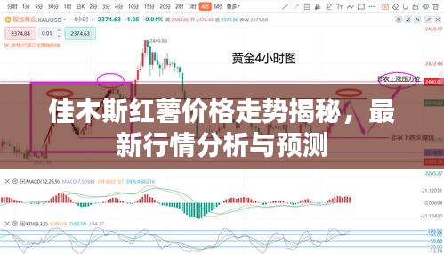 就棍打腿