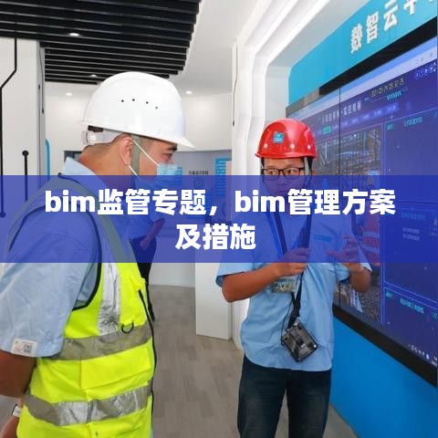 bim监管专题，bim管理方案及措施 