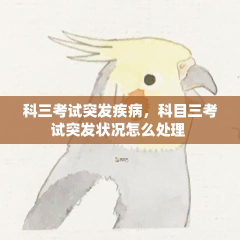 科三考试突发疾病,科目三考试突发状况怎么处理
