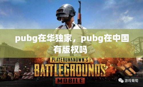 pubg在华独家，pubg在中国有版权吗 