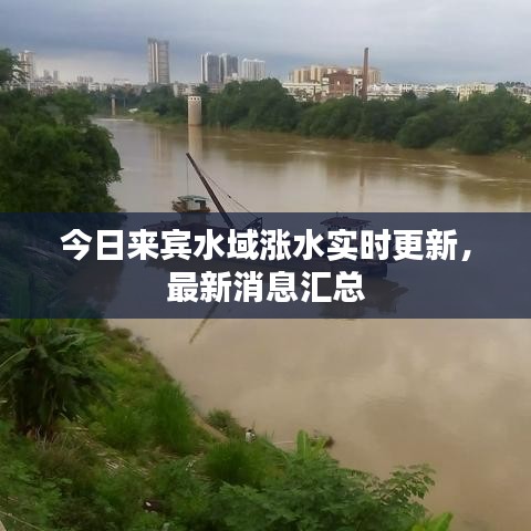 今日来宾水域涨水实时更新，最新消息汇总