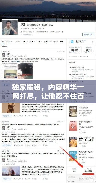 独家揭秘，内容精华一网打尽，让他忍不住百度一番！