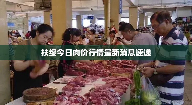 合作流程 第75页