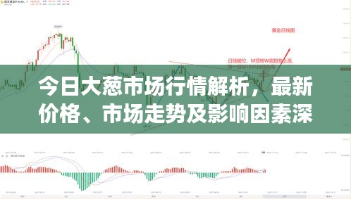 今日大葱市场行情解析，最新价格、市场走势及影响因素深度剖析