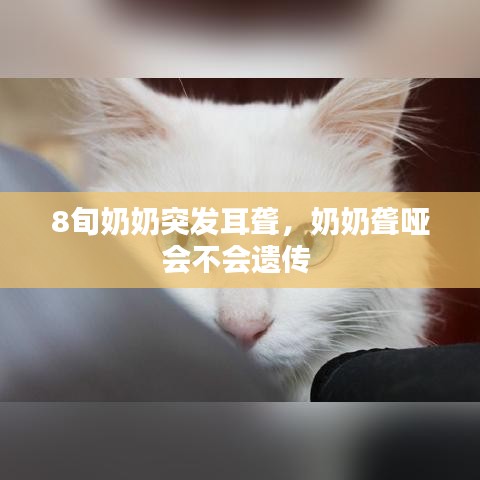 8旬奶奶突发耳聋,奶奶聋哑会不会遗传