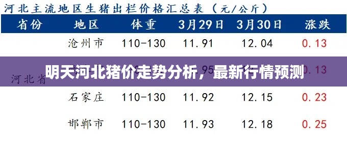 明天河北猪价走势分析，最新行情预测