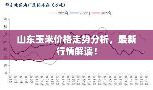 山东玉米价格走势分析，最新行情解读！