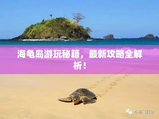 海龟岛游玩秘籍，最新攻略全解析！