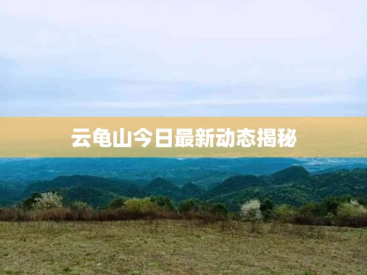 云龟山今日最新动态揭秘