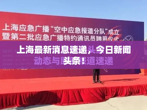 达官贵人 第2页